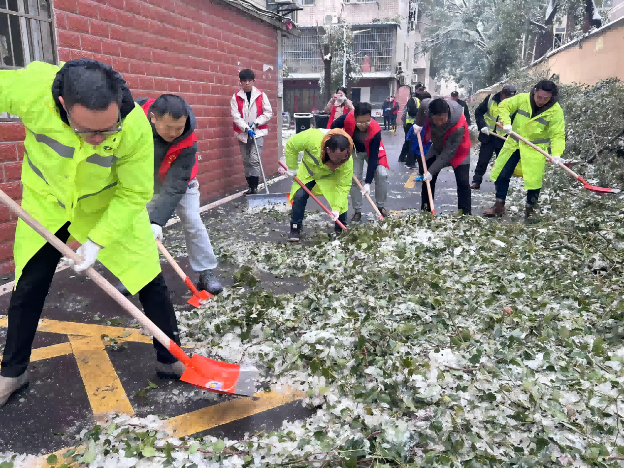 GA黄金甲(中国)最新官方网站