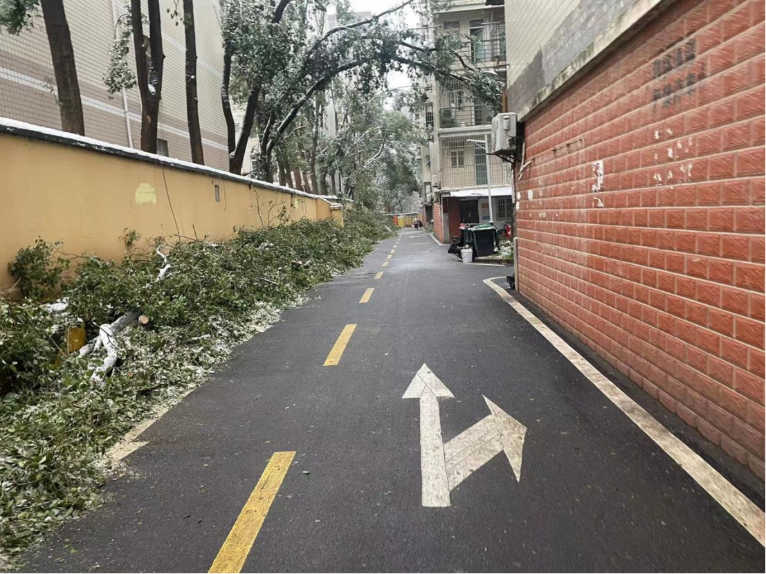 GA黄金甲(中国)最新官方网站