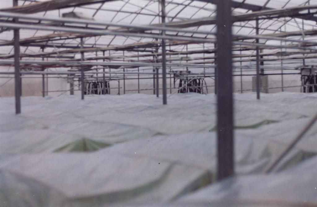 GA黄金甲(中国)最新官方网站