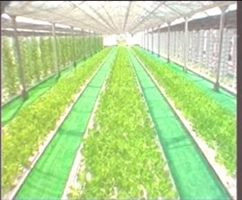 GA黄金甲(中国)最新官方网站