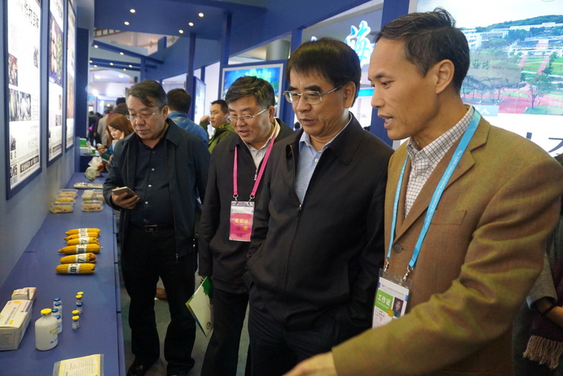 GA黄金甲(中国)最新官方网站