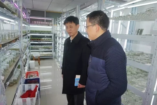 GA黄金甲(中国)最新官方网站