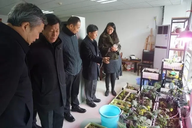 GA黄金甲(中国)最新官方网站