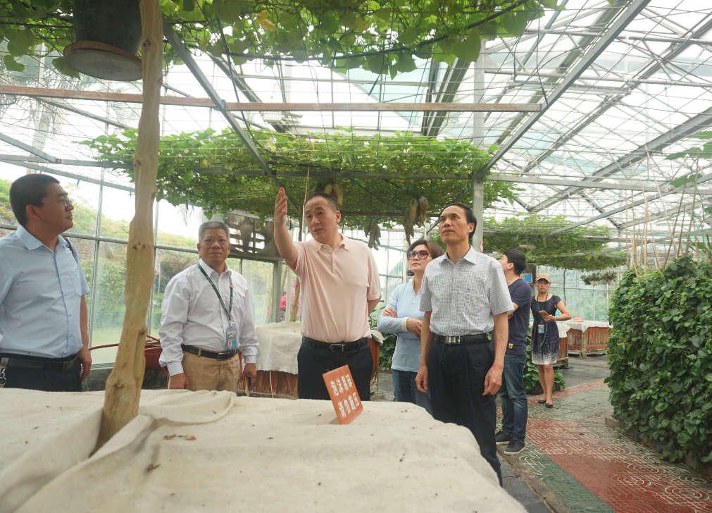 GA黄金甲(中国)最新官方网站