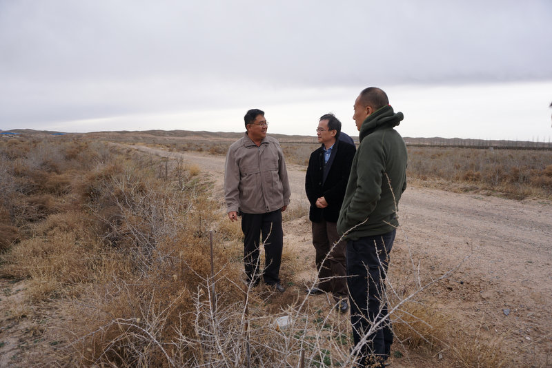 GA黄金甲(中国)最新官方网站