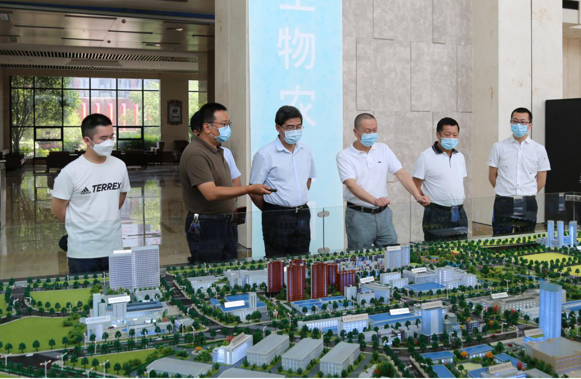 GA黄金甲(中国)最新官方网站