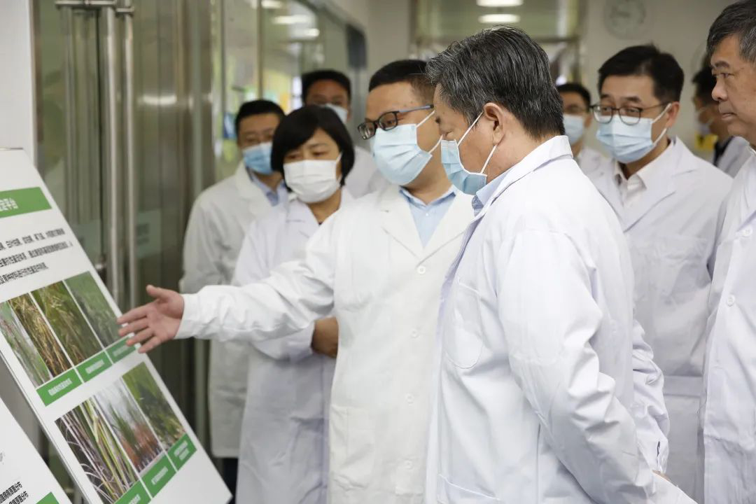 GA黄金甲(中国)最新官方网站